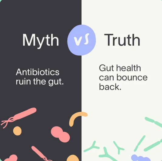 How to Restore Gut Health After Antibiotics